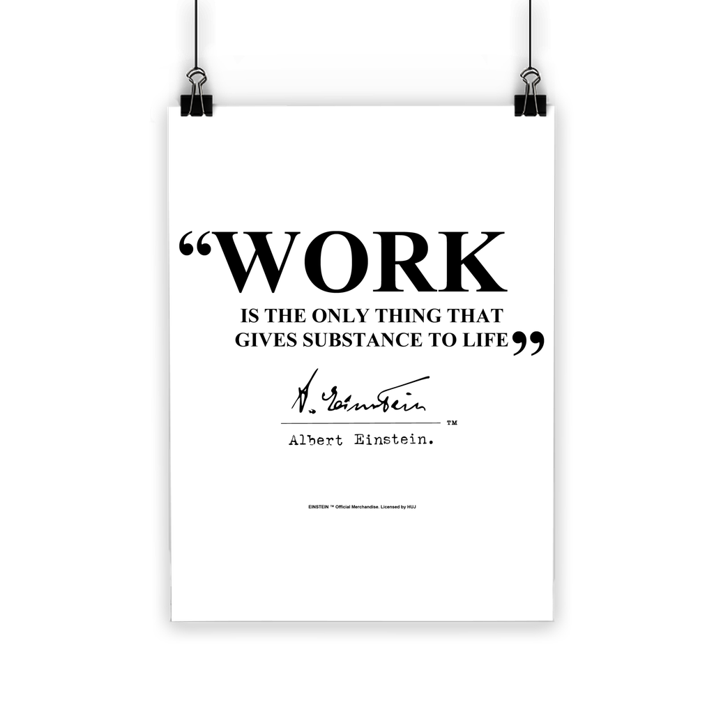 Einstein Work Quote Classic Poster